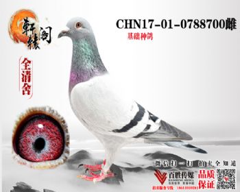 44 ֱ 0788700