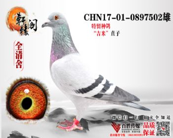 סһճھֱ0897502