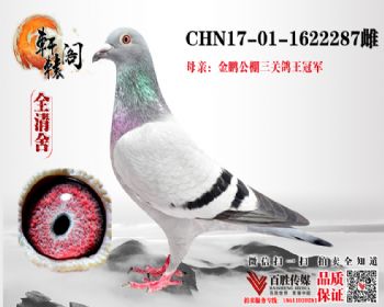 ھֱ1622287