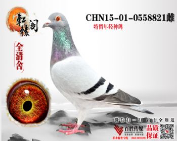 ھֱ14 140558821