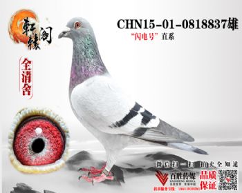 ½𵰵Ĵơ³ơ 0818837
