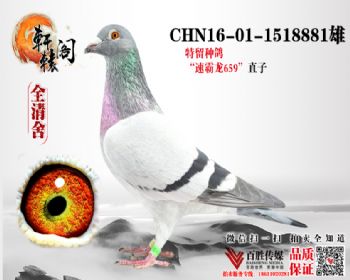 ĸ020ֱ 1518881