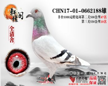 С ̨رȻ55010--0662188