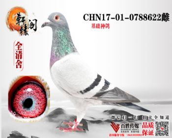 ߸34ֱ 0788622