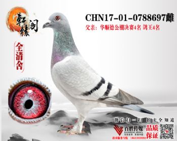 ˳¾44ֱŮ 0788697