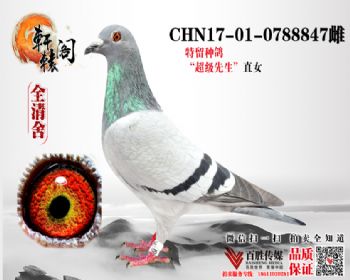 NPO16111ھֱŮ 0788847
