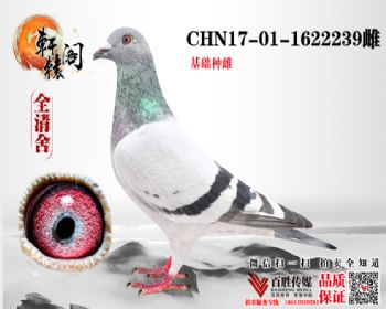 WHZBھ 1622239