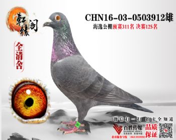 1250503912