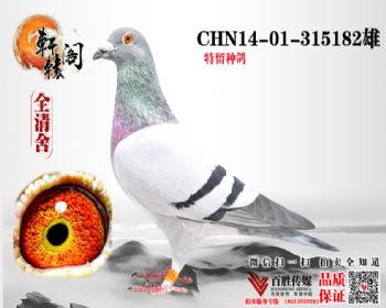 ףһճھֱ315182