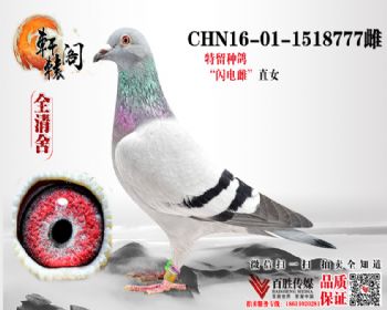 ֱŮ 1518777