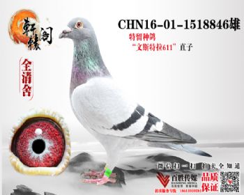 828  ζ 1518846