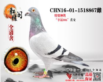 848ֱŮ 1518867