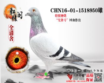 WHZBھĹѪ 1518950