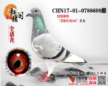 ˹500ֱŮ 0788608