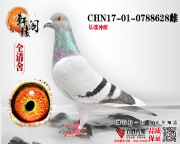 Ѫ0788628