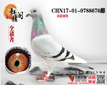 Ѫ 0788676