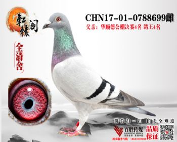 4 4ֱŮ 0788699