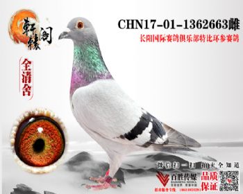 ֱŮ رȻ 1362663