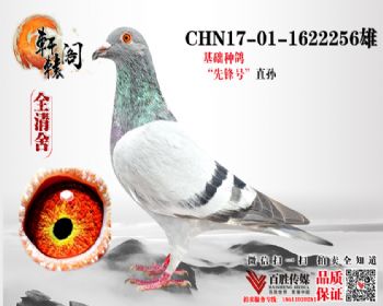 540＾ 71ƽ 1622256