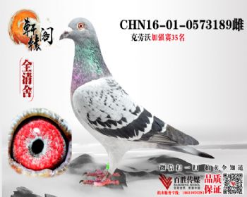 350573189