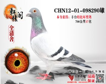 70017 WHZBھֱ098290