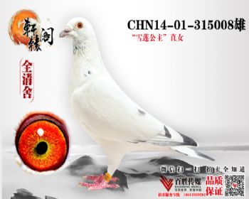 ѩֱŮ 1401315008