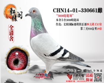̨3000رȻ 57λĸ1401330661
