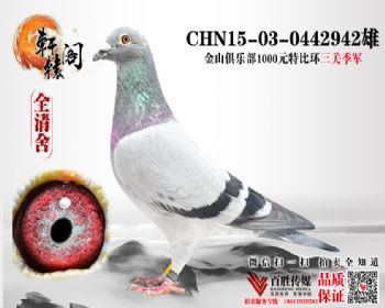 ظ  0442942