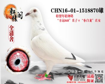 С 8481518870