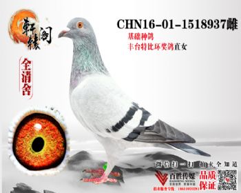 70017 16011518937