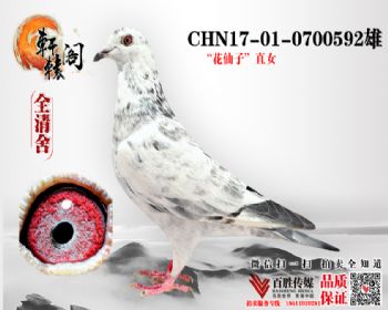 ֱ 0700592