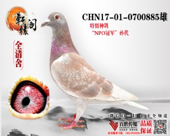 NPOھ 0700885