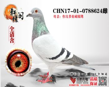 һճھ0788624