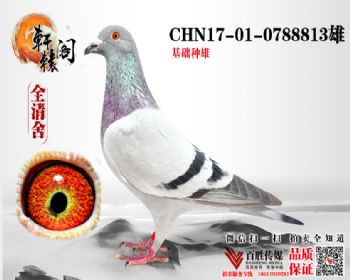 ֱϵ 0788813