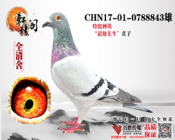  NPOھֱ0788843