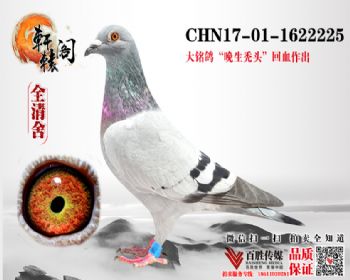  ȻѪ  ˣĿǰ޷1622225