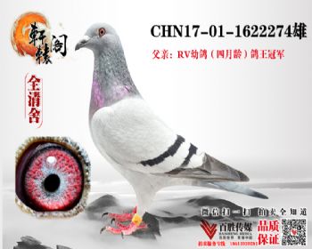 RV׸ھӴ 1622274