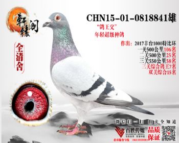 ̨ظ7λ 0818841