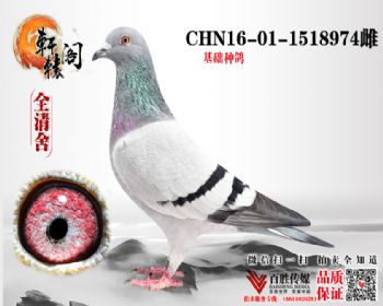 Ů 1518974