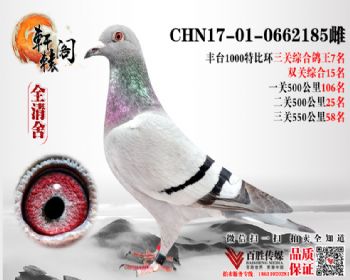 17̨رȻ7λ 0662185