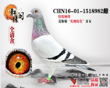 Ů 1518982