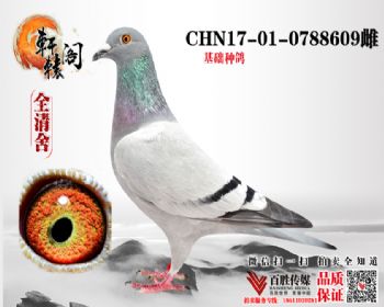 ͺͷ 0788609