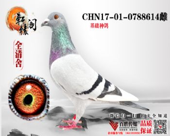 WHZBھ 0788614
