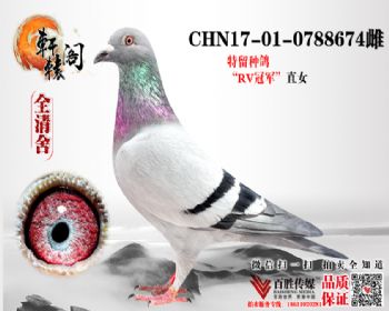 RVֱŮ0788674