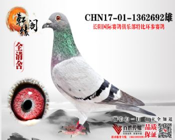 3ιھӴ 1362692