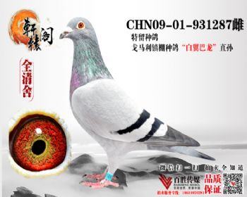 ָ߱0901931287