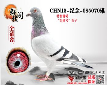 WHZBھֱ1501085070