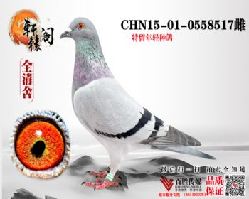 ֱŮ 15010558517