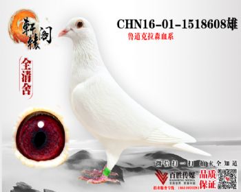  16011518608