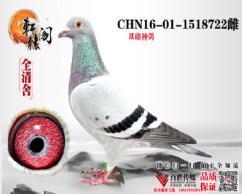 WHZBھ 16011518722